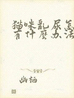 猫咪乱尿怎么办有什么办法