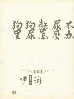 狗狗憋尿不在家里尿怎么办