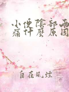 小便阴部两侧疼痛什么原因