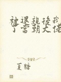 被退亲后我嫁给了当朝大佬txt