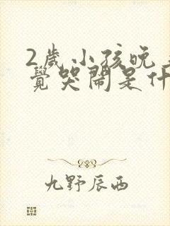 2岁小孩晚上睡觉哭闹是什么原因