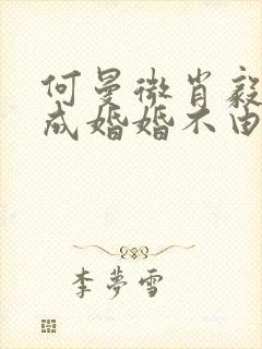 何曼微肖毅奉子成婚婚不由己