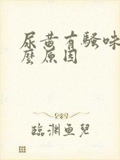 尿黄有骚味是什么原因