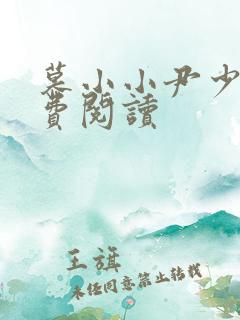 慕小小尹少桀免费阅读
