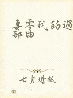 妻零我的过错三部曲