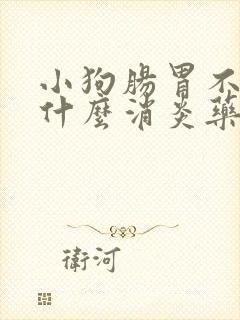 小狗肠胃不好吃什么消炎药