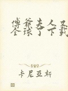 傅爷夫人又惊艳全球了下载全文