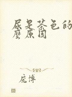 尿是茶色的是什么原因