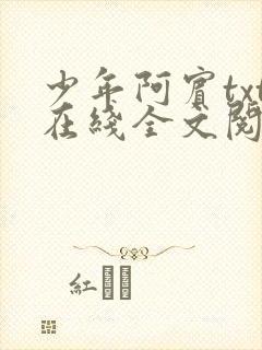 少年阿宾txt在线全文阅读