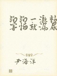 狗狗一激动或者害怕就漏尿是怎么回事