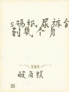 s码纸尿裤能穿到几个月