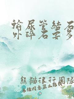 输尿管结石 体外碎石要多少钱