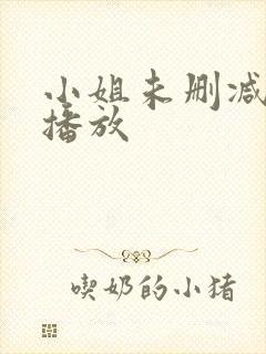 小姐未删减在线播放