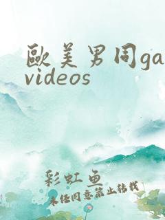 欧美男同gayvideos