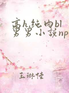高h,纯肉bl男男小说np