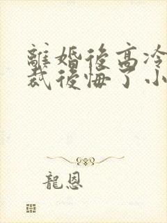 离婚后高冷女总裁后悔了小说笔趣