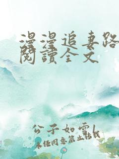 漫漫追妻路免费阅读全文