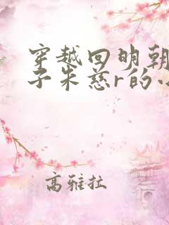 穿越回明朝做太子朱慈r的小说