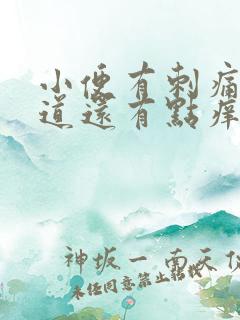 小便有刺痛感阴道还有点痒是怎么回事