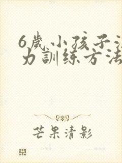 6岁小孩子注意力训练方法