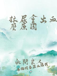 拉尿会出血是什么原因