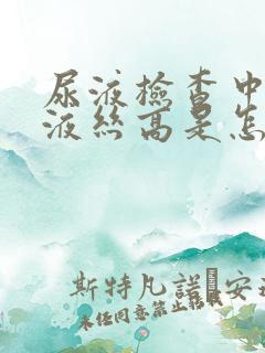 尿液检查中的粘液丝高是怎么回事