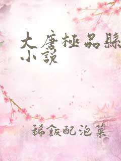 大唐极品县令 小说