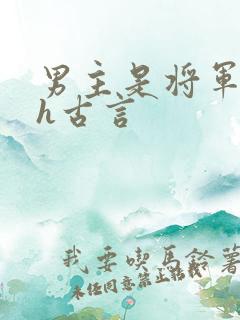 男主是将军的高h古言