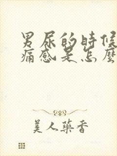 男尿的时候有刺痛感是怎么了