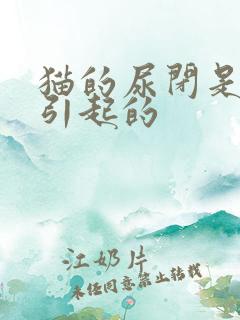 猫的尿闭是怎么引起的