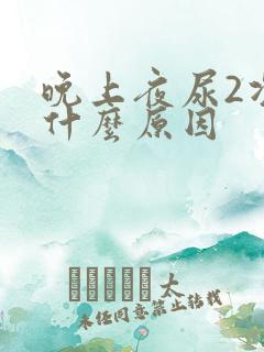 晚上夜尿2次是什么原因