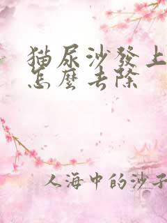 猫尿沙发上骚味怎么去除