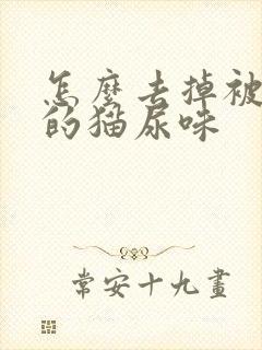 怎么去掉被子上的猫尿味