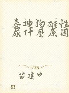 泰迪狗雄性尿血尿什么原因