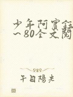 少年阿宾钰慧1～80全文阅读