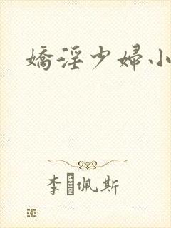 娇淫少妇小说