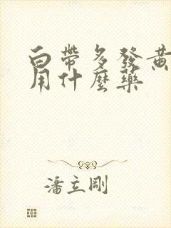 白带多发黄腥臭用什么药