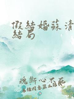 假结婚苏清月大结局