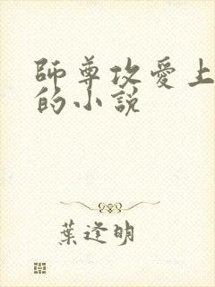 师尊攻爱上徒弟的小说