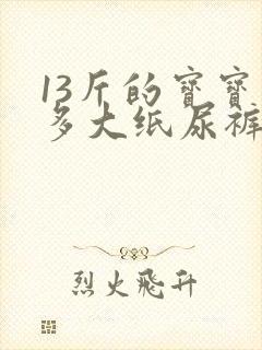 13斤的宝宝穿多大纸尿裤