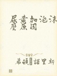 尿黄加泡沫是什么原因