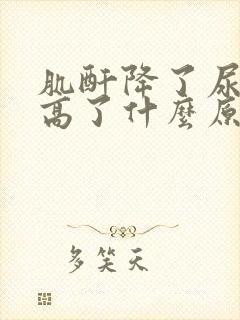 肌酐降了尿蛋白高了什么原因?