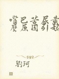 嘴巴苦尿黄是什么原因引起的