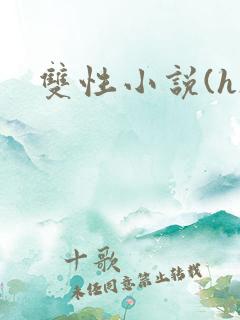 双性小说(h)