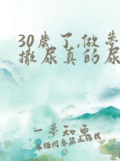 30岁了,做梦撒尿真的尿床是什么原因
