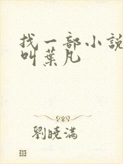 找一部小说主角叫叶凡