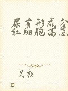 尿有形成分分析红细胞高怎么回事