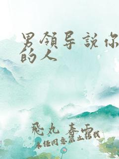 男领导说你是他的人