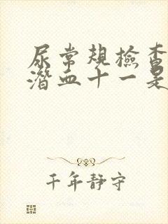 尿常规检查结果潜血十一是什么意思