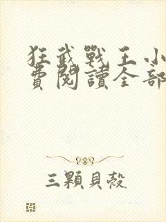 狂武战王小说免费阅读全部章节